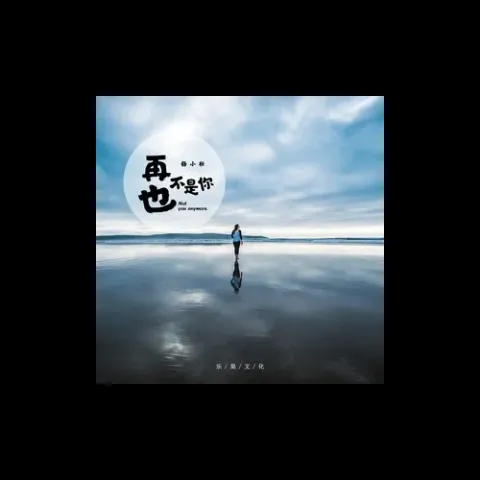 再也不是你