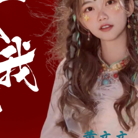 撞入我心怀