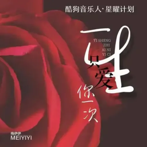 一生只爱你一次