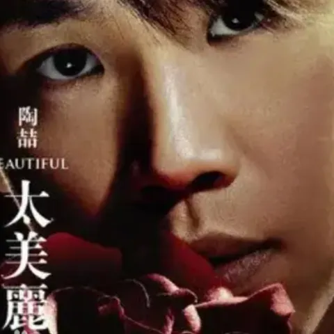 太美丽