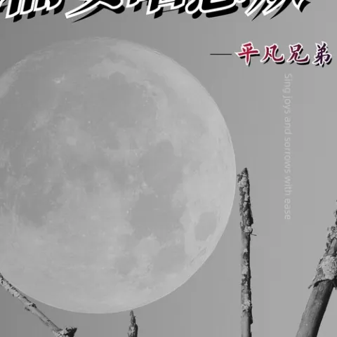 随遇而安唱悲欢