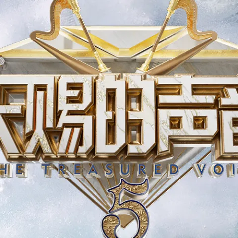 天赐的声音第五季