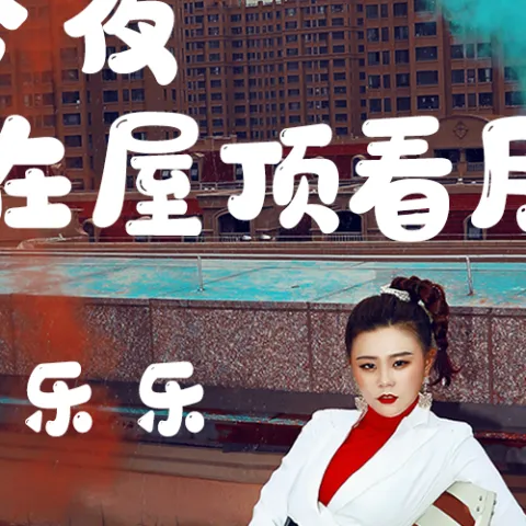 今夜我在屋顶看月亮