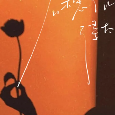 不想活得太明白