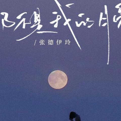 那不是我的月亮 