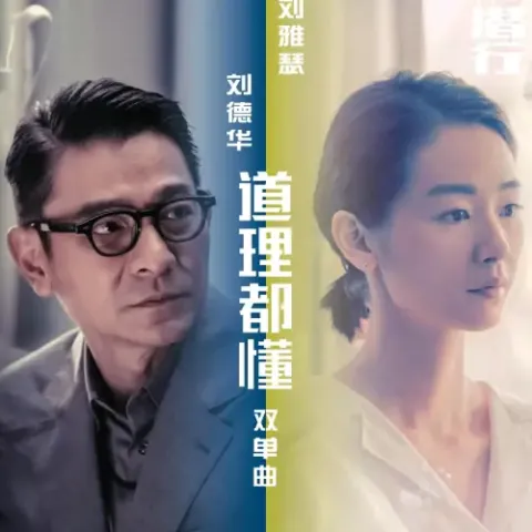 道理都懂 刘德华