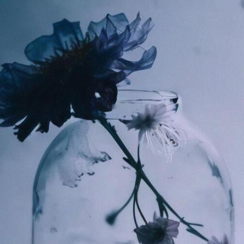 与花同败