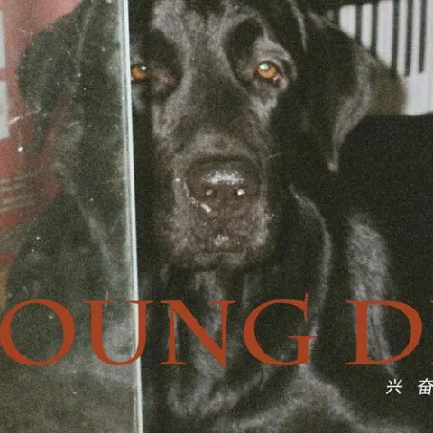 兴奋到死的东西