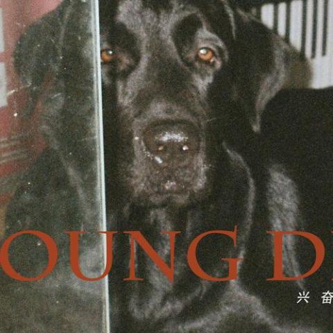 兴奋到死的东西