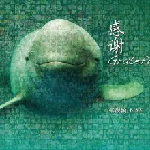 好不容易歌词 -  张靓颖