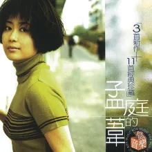 伤了你的心的我伤心 歌词 - 孟庭苇
