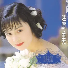 青青河边草 歌词 - 高胜美 电视剧《青青河边草》主题曲