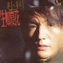 且听风吟 歌词 - 朴树
