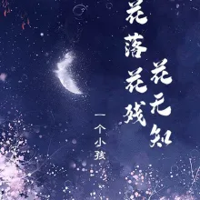  花落花残花无知 歌词 - 一个小孩