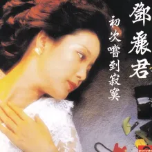 小媳妇回娘家 歌词 - 邓丽君