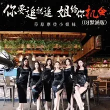 你要追就追姐给你机会 歌词 - 草原摩登小姐妹