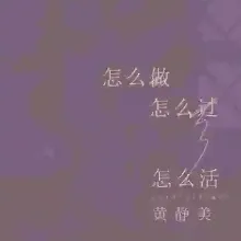 怎么做怎么过怎么活 歌词 - 黄静美