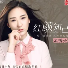 勿忘你 歌词 - 龙梅子 / 高安