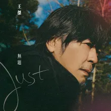 15岁的那年 歌词 - 王杰