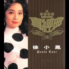 婚纱背后 歌词 - 徐小凤