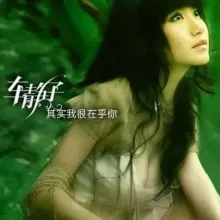 其实我很在乎你 歌词 - 车静子