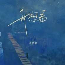 我想看 歌词 - 张妙格