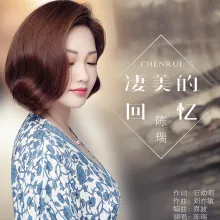 凄美的回忆 歌词 - 陈瑞